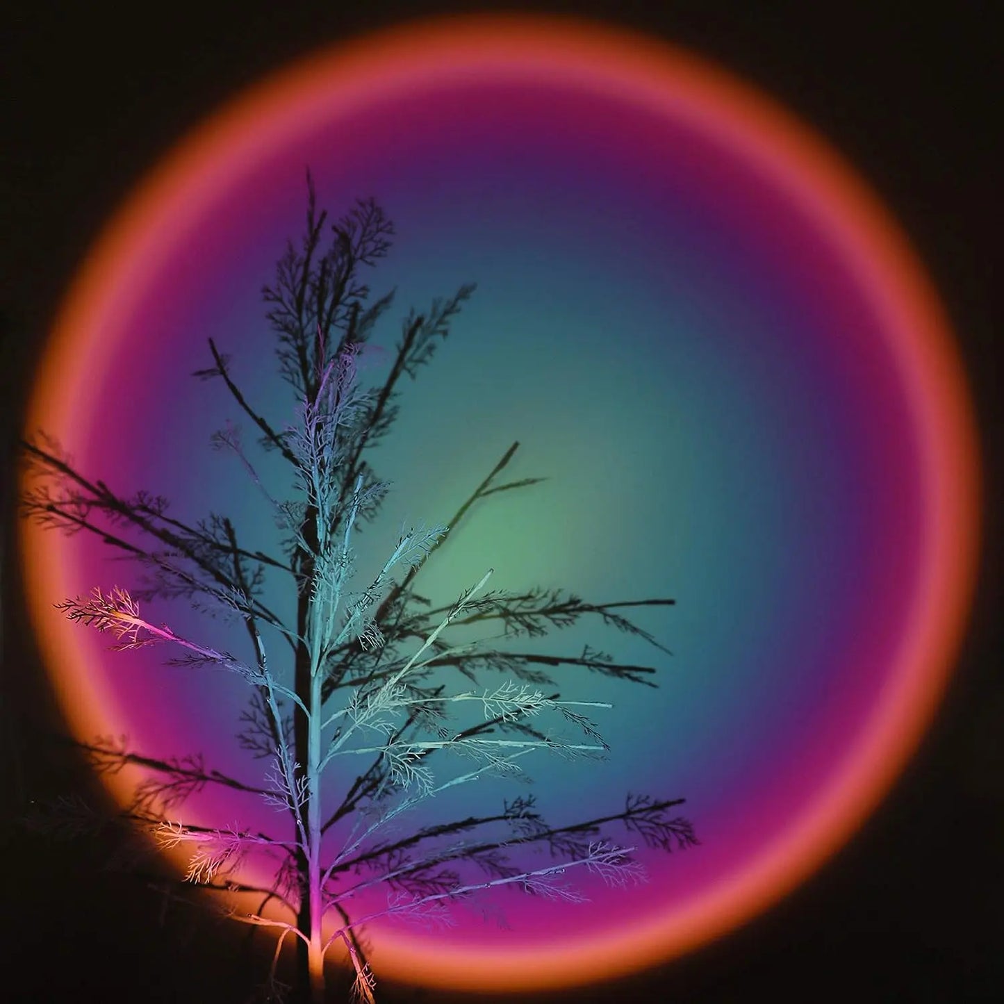 Atmosphere LED Light